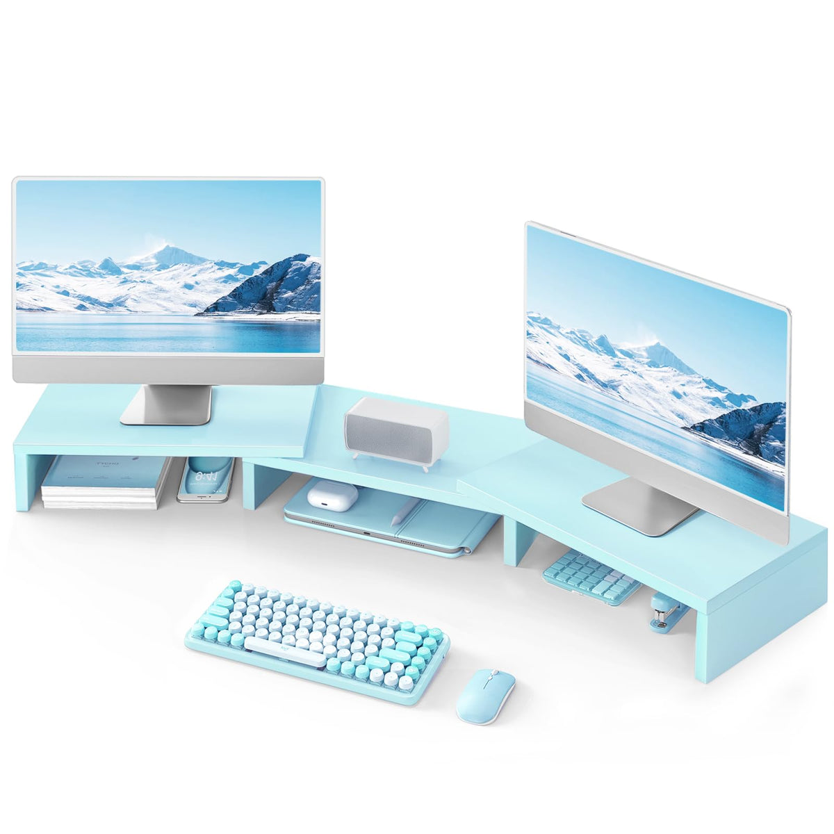 TAVR Monitor Stand Riser, Office Desktop Organizer Stand for 2 Monitors
