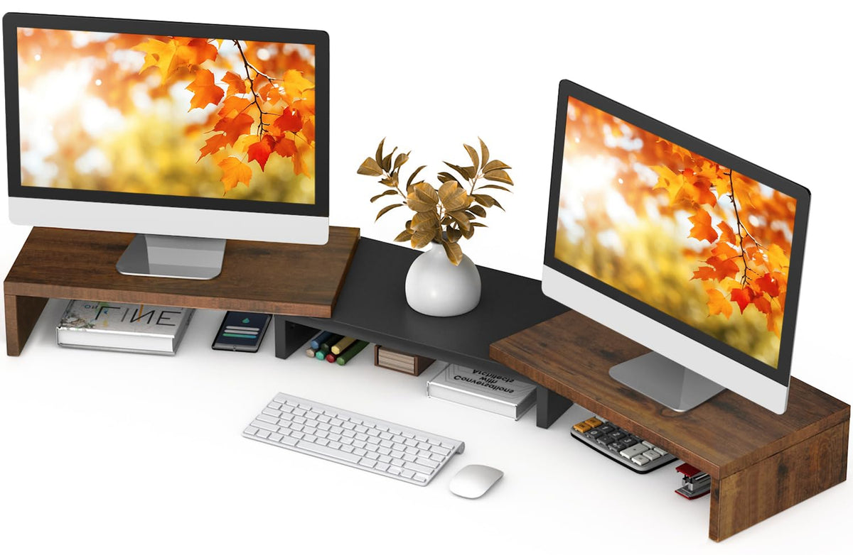 TAVR Monitor Stand Riser, Office Desktop Organizer Stand for 2 Monitors