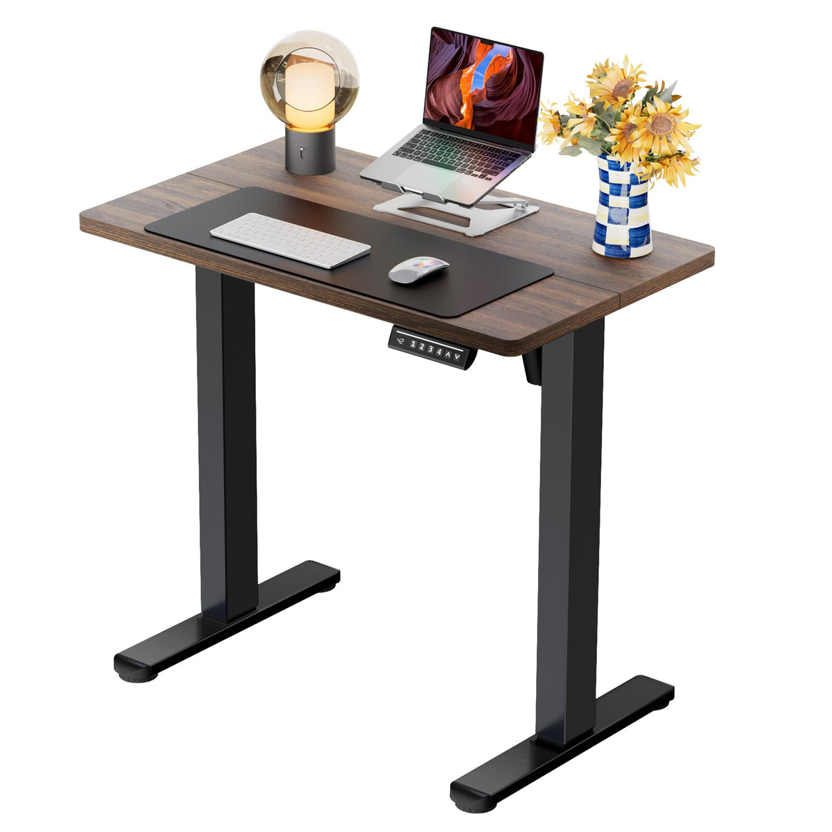 ErGear 48 X 24 Inch Height Adjustable Electric Standing Desk, Black