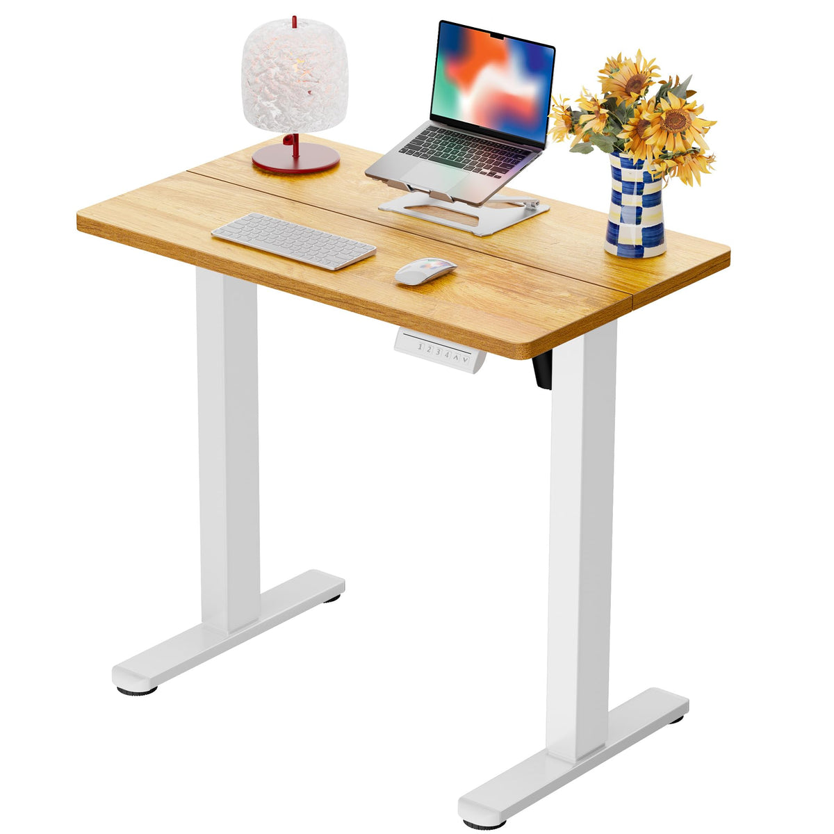 ErGear 48 X 24 Inch Height Adjustable Electric Standing Desk, Black