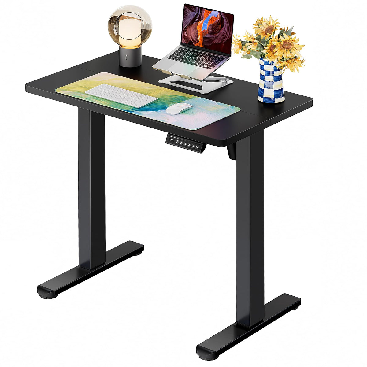 ErGear 48 X 24 Inch Height Adjustable Electric Standing Desk, Black