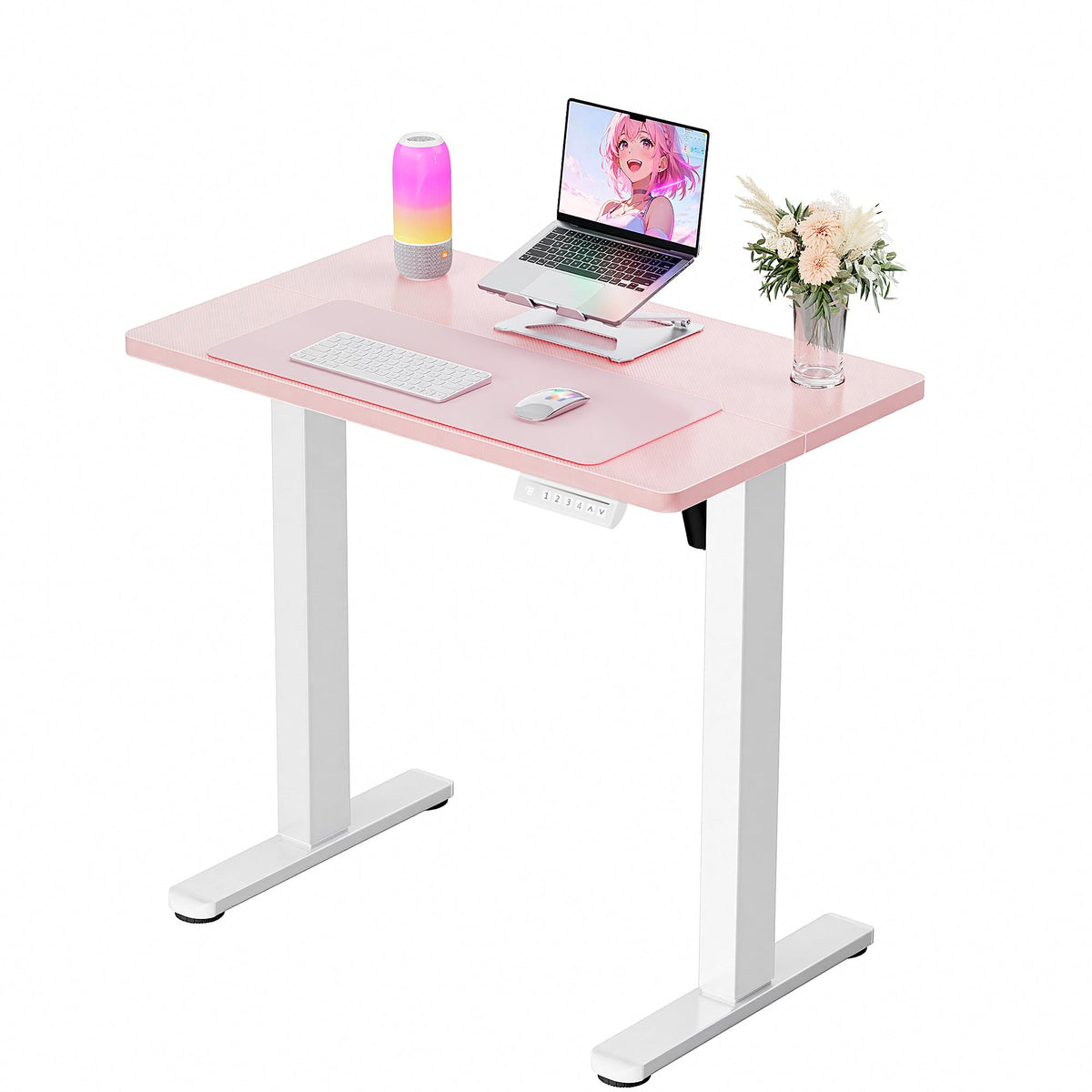 ErGear 48 X 24 Inch Height Adjustable Electric Standing Desk, Black