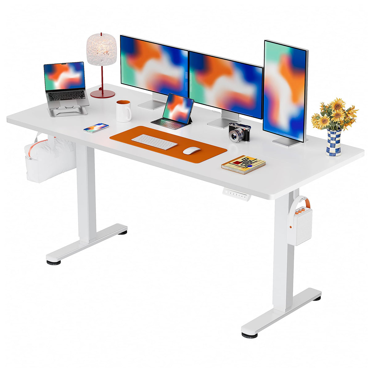 ErGear 48 X 24 Inch Height Adjustable Electric Standing Desk, Black