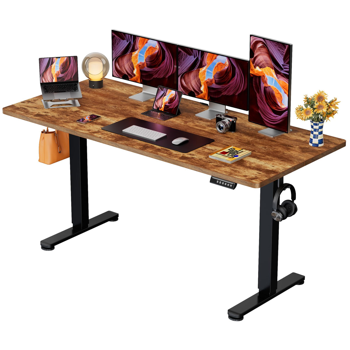 ErGear 48 X 24 Inch Height Adjustable Electric Standing Desk, Black