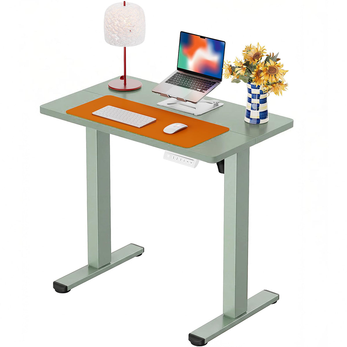 ErGear 48 X 24 Inch Height Adjustable Electric Standing Desk, Black