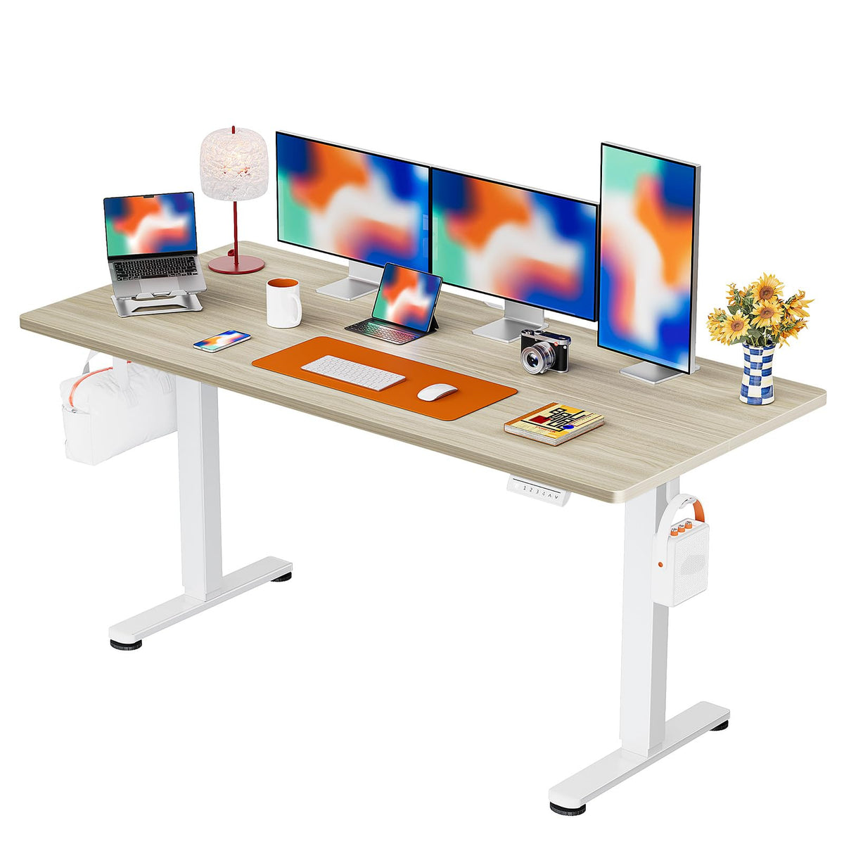 ErGear 48 X 24 Inch Height Adjustable Electric Standing Desk, Black