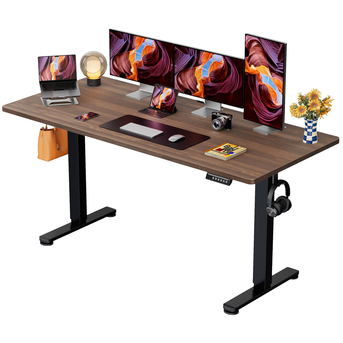 ErGear 48 X 24 Inch Height Adjustable Electric Standing Desk, Black