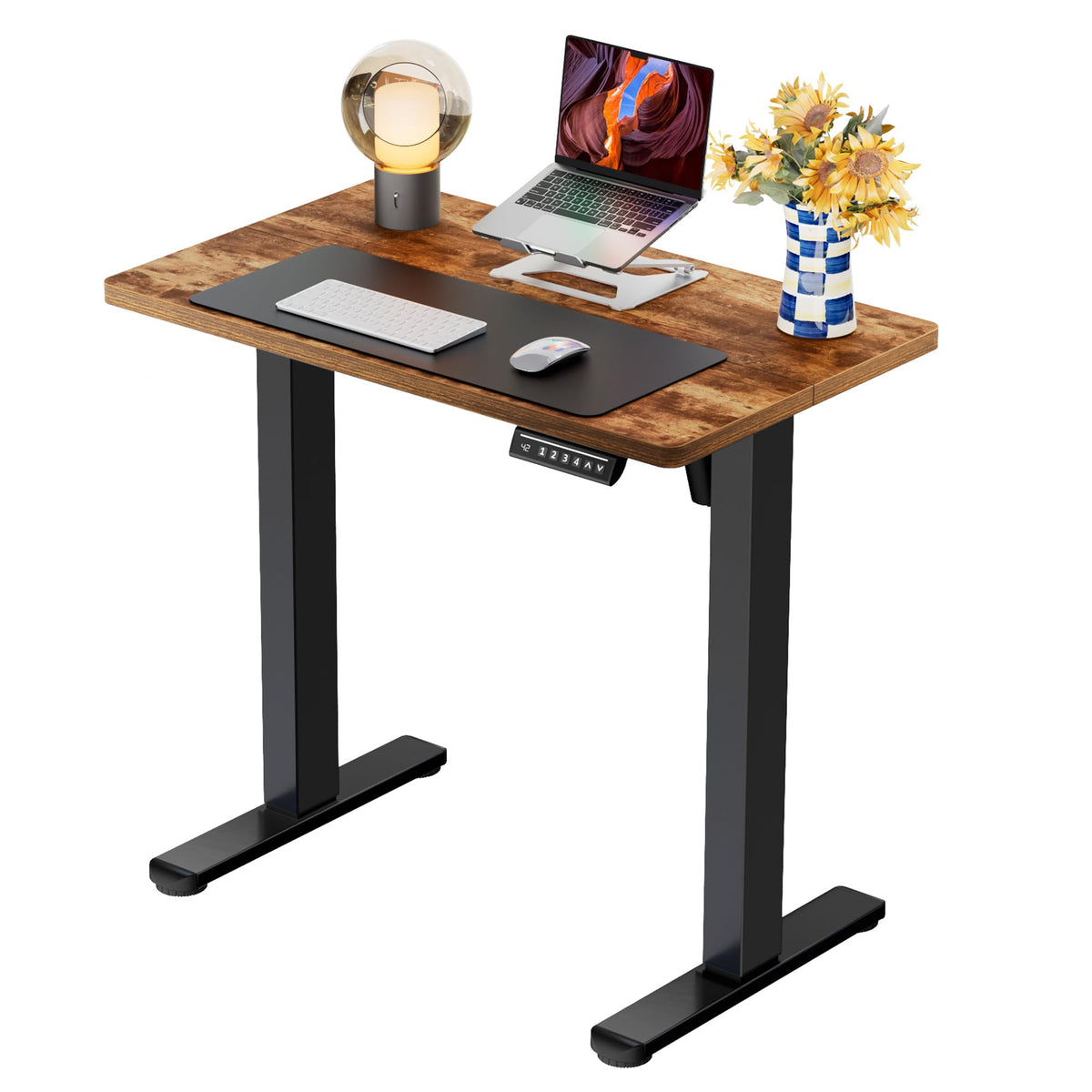 ErGear 48 X 24 Inch Height Adjustable Electric Standing Desk, Black