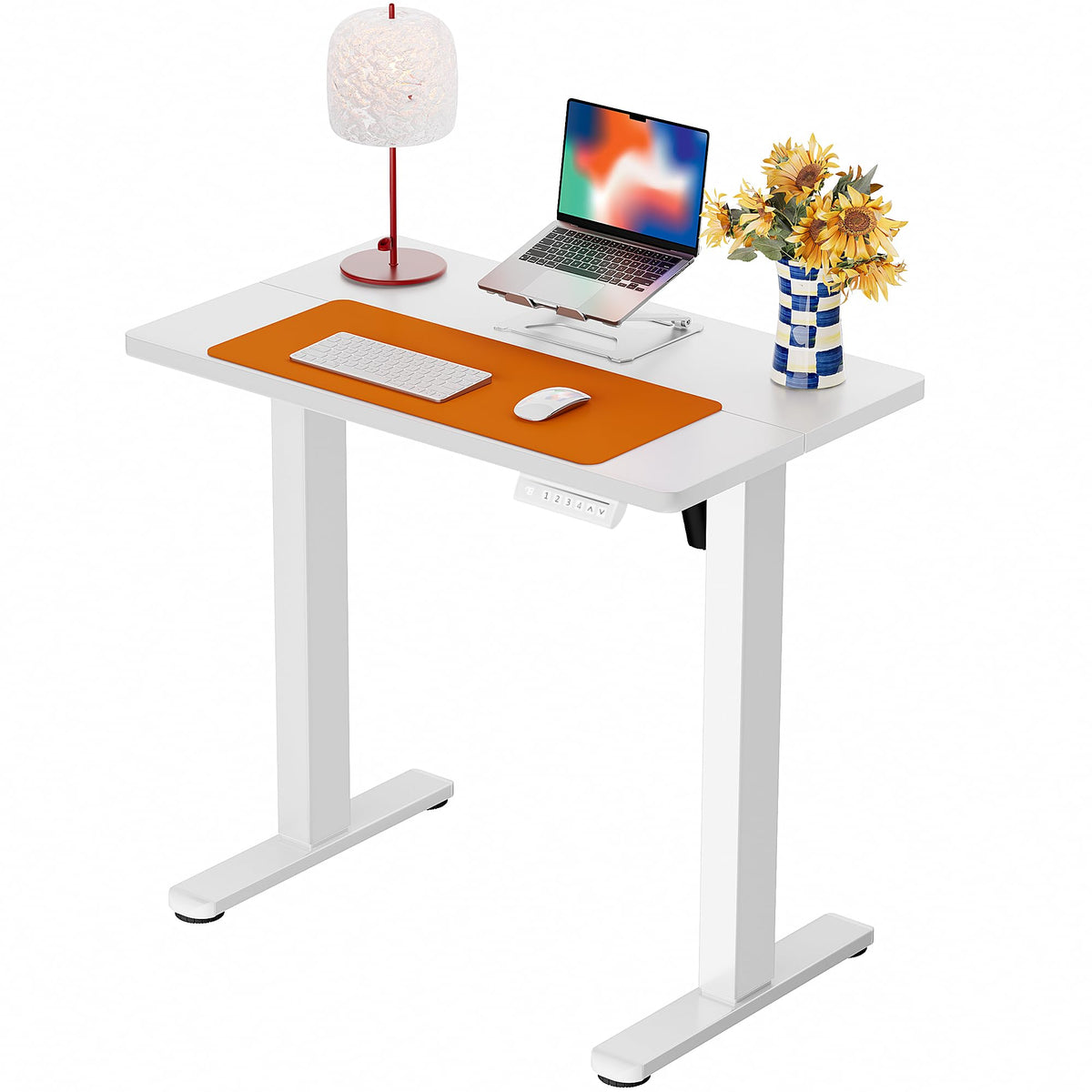 ErGear 48 X 24 Inch Height Adjustable Electric Standing Desk, Black