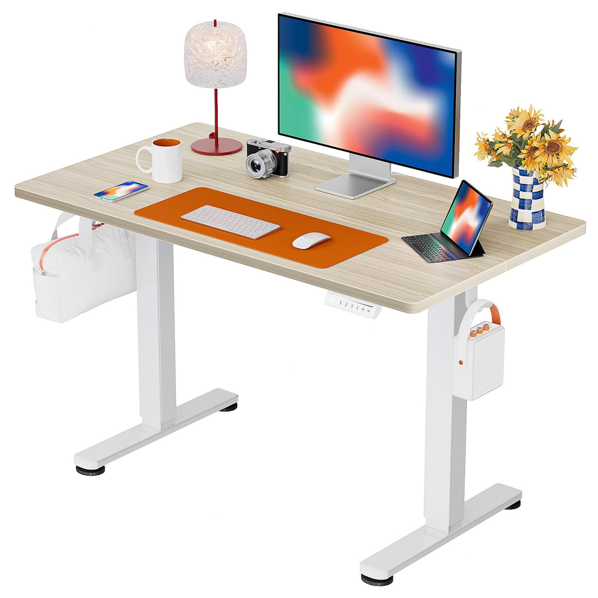 ErGear 48 X 24 Inch Height Adjustable Electric Standing Desk, Black